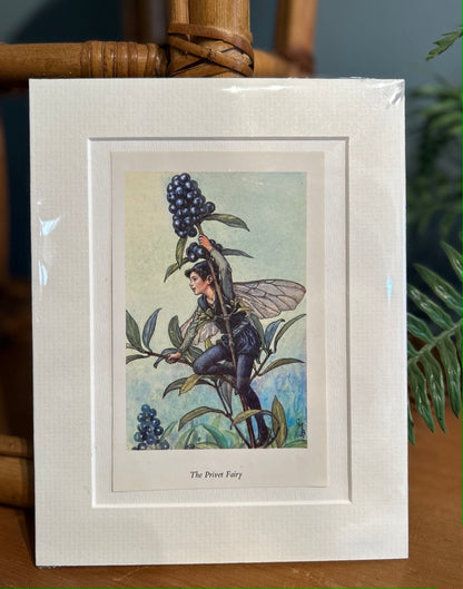 Fairy Mounted Print