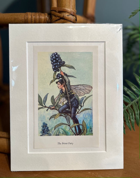 Fairy Mounted Print