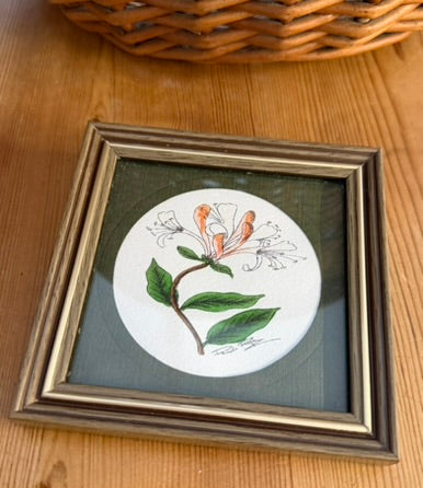 Small Pair of Framed Botanical Original Water Colour Paintings