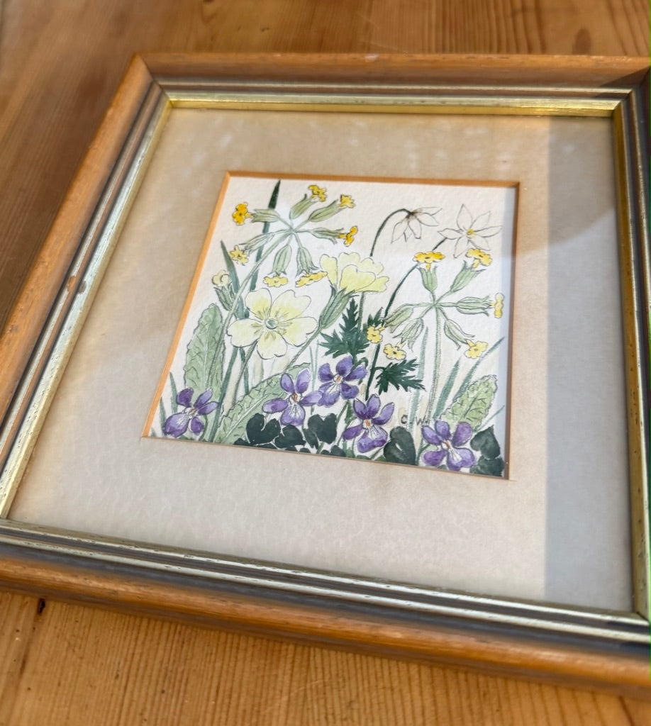 Vintage Framed Botanical Original Water Colour Painting By Carol Worth