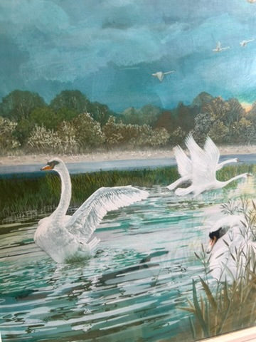 Vintage Framed 1970's Print of Swans