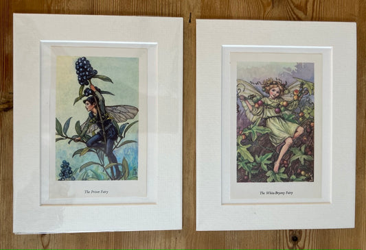 Pair of Fairy Mounted Prints