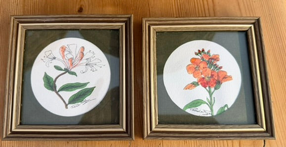 Small Pair of Framed Botanical Original Water Colour Paintings