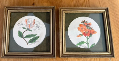 Small Pair of Framed Botanical Original Water Colour Paintings