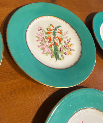 Set of 6 Vintage Botanical Plates