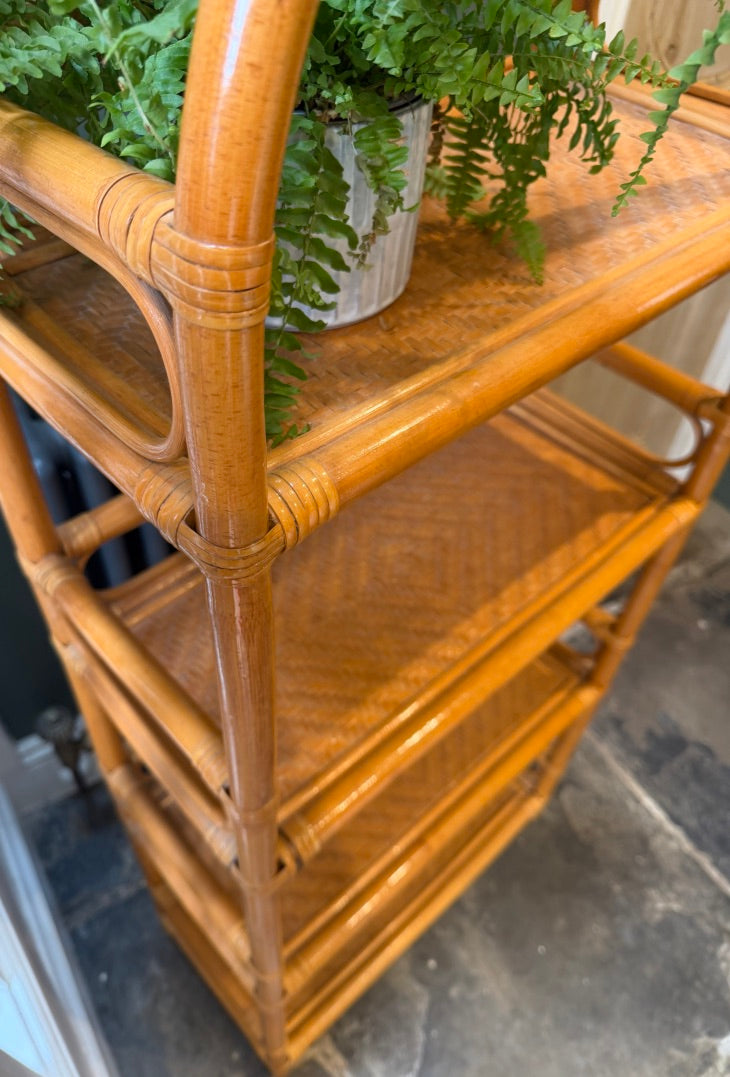 Vintage Bamboo Shelves