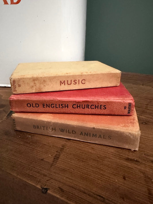 Job lot Set of 3 Vintage Observer Book Bundle
