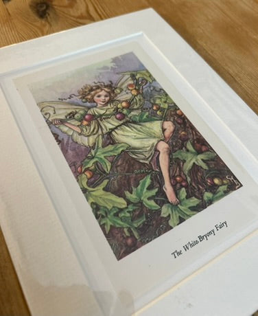 Pair of Fairy Mounted Prints