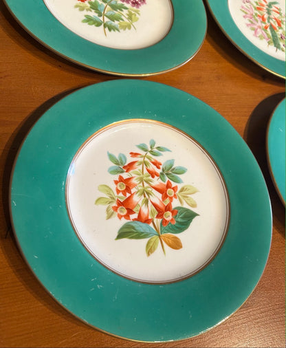 Set of 6 Vintage Botanical Plates