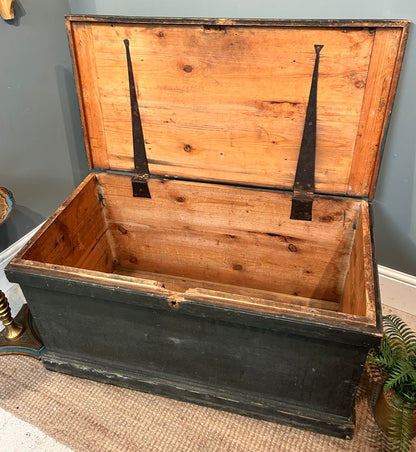 Rustic Pine Trunk